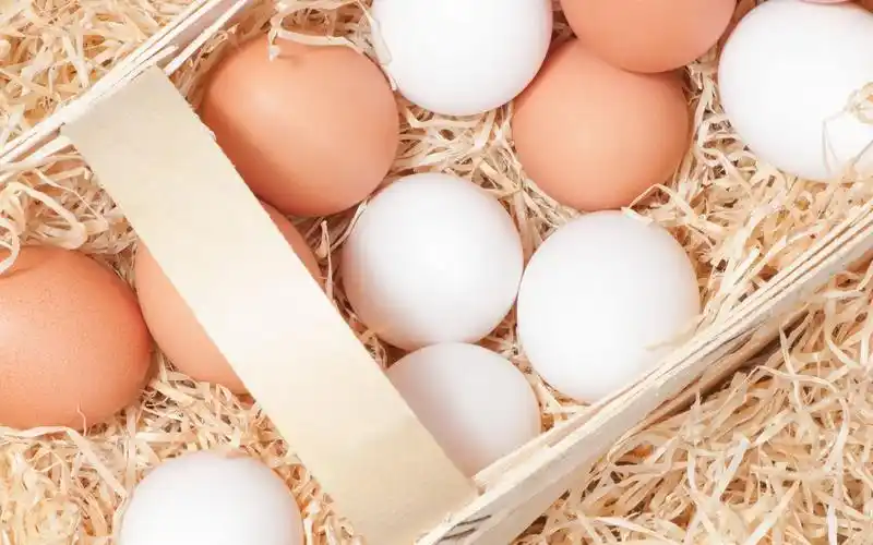 鸡蛋绘画,高清图片-壁纸族