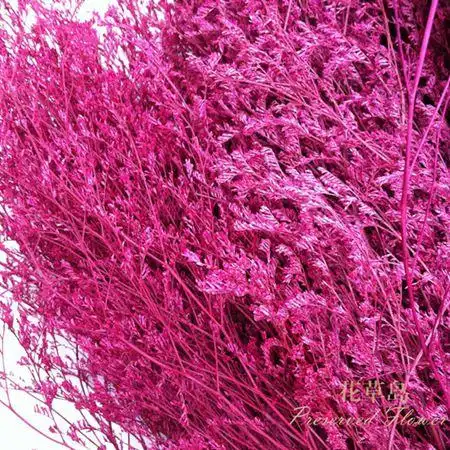 [情人草]家居饰品 摆设花 干花 装饰客厅 欧式田园 情人草a-10