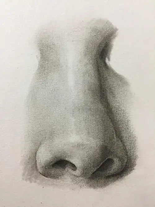 鼻子素描写实