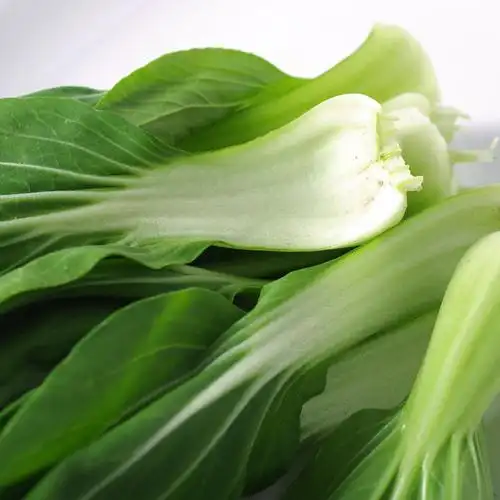 北菜园生态油菜200g