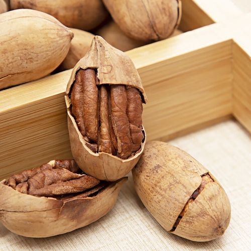 碧根果长寿果休闲坚果零食长寿果干果袋装新货批发散装零食大全 500g