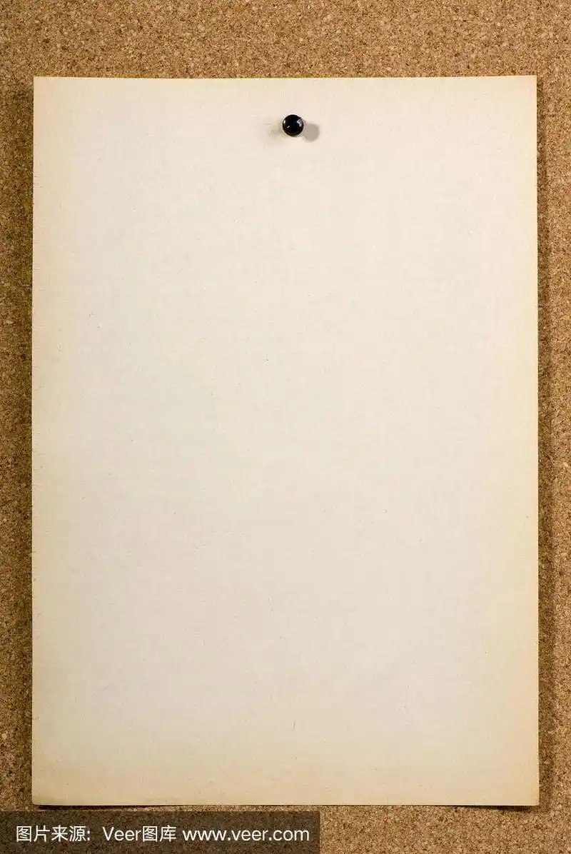 钉住,书页,空白的,科克郡,商务