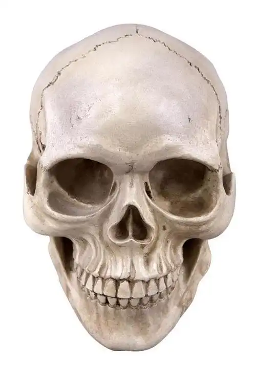 少年挖出2个骷髅头,6年后法力通天,神仙都敢打