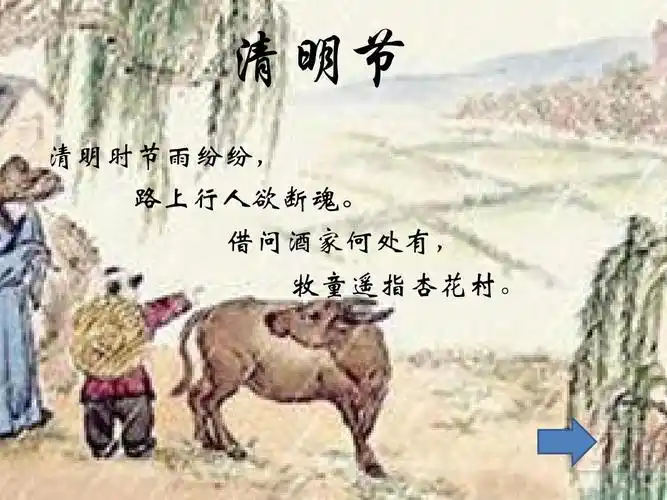 清明节 清明时节雨纷纷, 路上行人欲断魂.