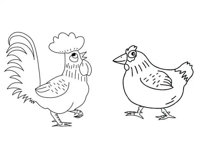 简笔画no.35《公鸡母鸡咯咯咯》素材素材简笔画