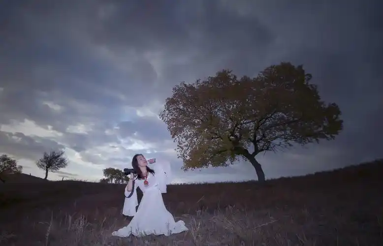 在那落叶铺满大地的树下