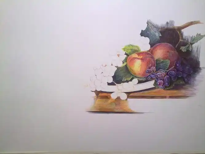 圆珠笔画教程:彩色圆珠笔《有葡萄的静物》绘制步骤