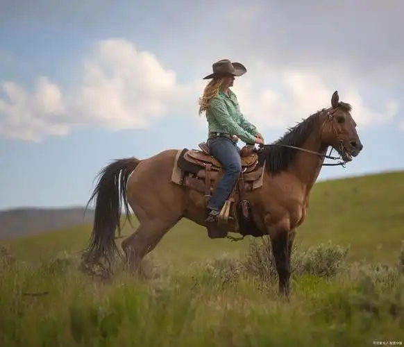 拍出唯美照片:新疆骑马摄影的技巧与秘籍,一场视觉与心灵的盛宴