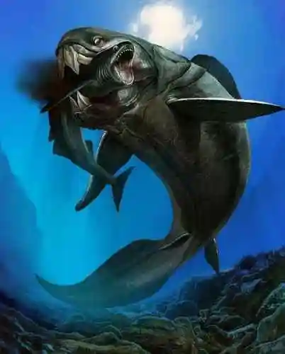 史前十大深海巨兽图片(史前十大深海巨兽排行榜) - 生活 - 影豆网