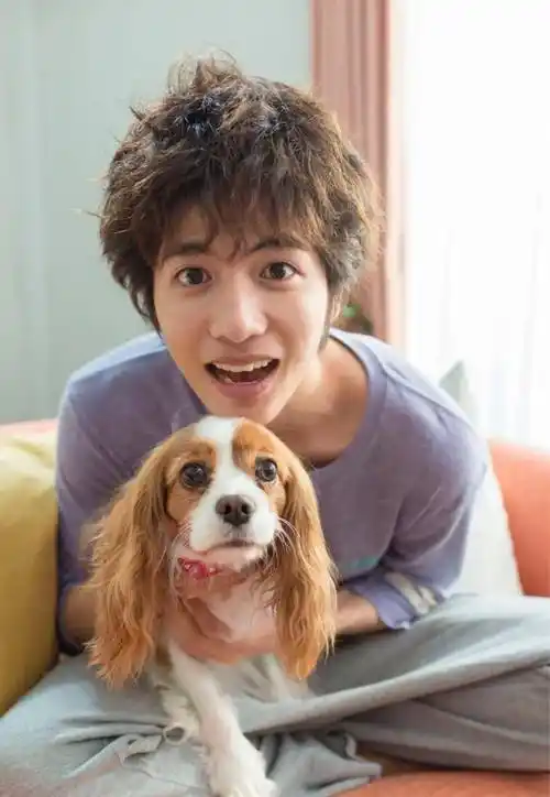 8位天生狗狗眼的男星,一眨眼不仅可爱到爆,观众缘还特别好_曾舜_自带