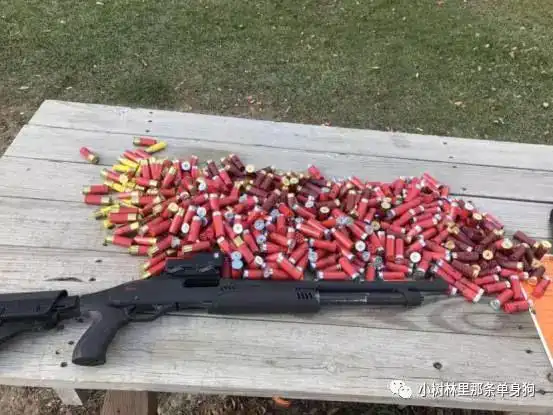 霰弹枪的乐趣和魅力来自海外党对喷子的爱