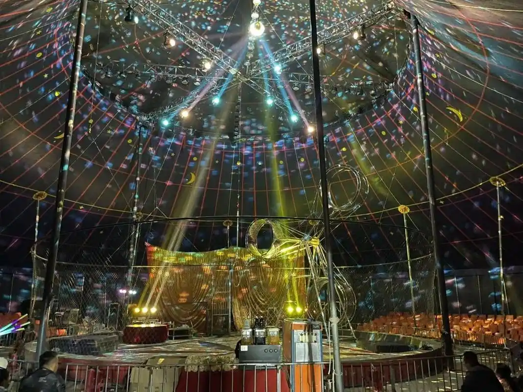 陈华的大棚有更好的灯光效果.新京报记者 史航 摄