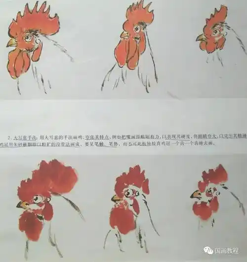 国画教程12集公鸡的步骤画法5