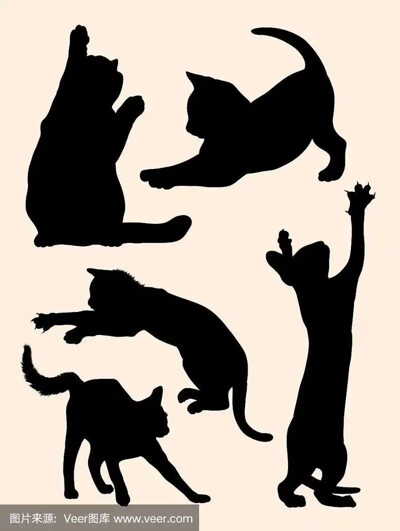 可爱的猫和小猫在做动物剪影的手势