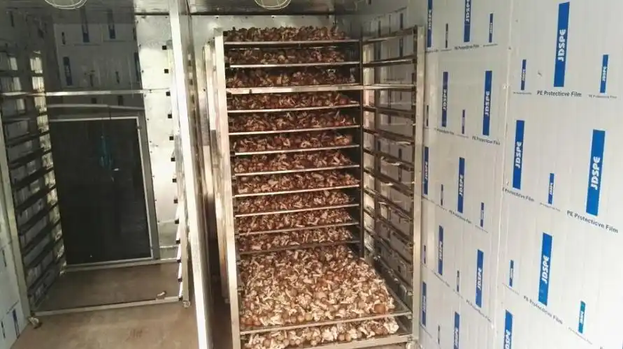 蘑菇烘干机,食用菌烘干机,空气能烘干机