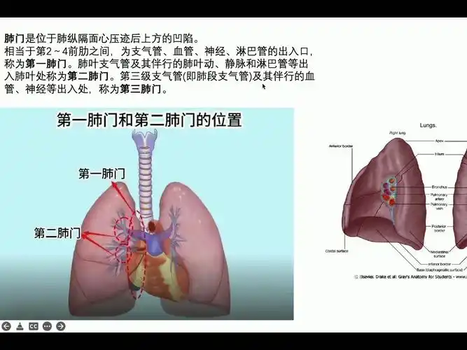 2024年执业医师技能考试影像学阅片秒杀系列—胸部ct阅片