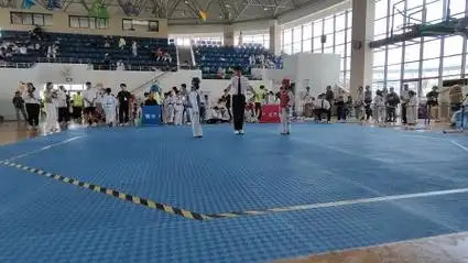 5.25跆拳道比赛视频15