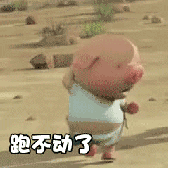 239_239gif 动态图 动图