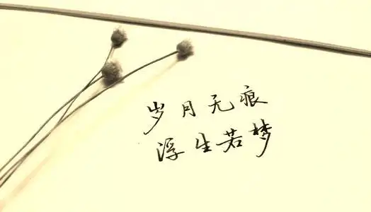 岁月的沉淀唯美句子