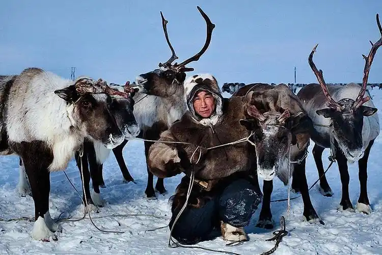 最牛捕猎人:零下45度深入18米冰层捕猎,一不小心就命丧其中