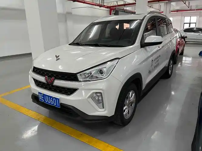 【嘉兴二手车】2019年11月_二手五菱 五菱宏光s3 2019款 1.