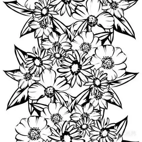 无缝复古风格的花型黑白花元素【简笔画】手帐素材,多种花型,天气画法