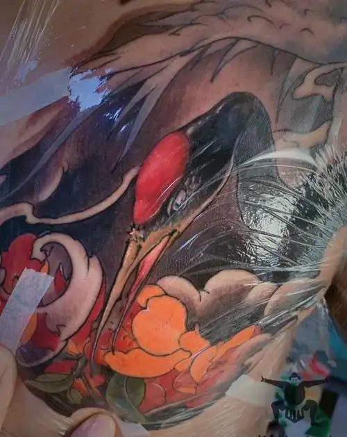 半甲仙鹤纹身图片_胸部新传统纹身图案