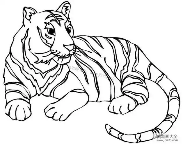 老虎简笔画图片大全世界上最简单的老虎简笔画6动物园老虎吃马简笔画