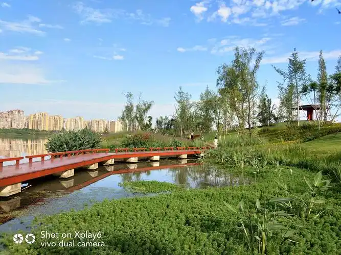 四川遂宁九莲洲国家生态湿地公园实景小照