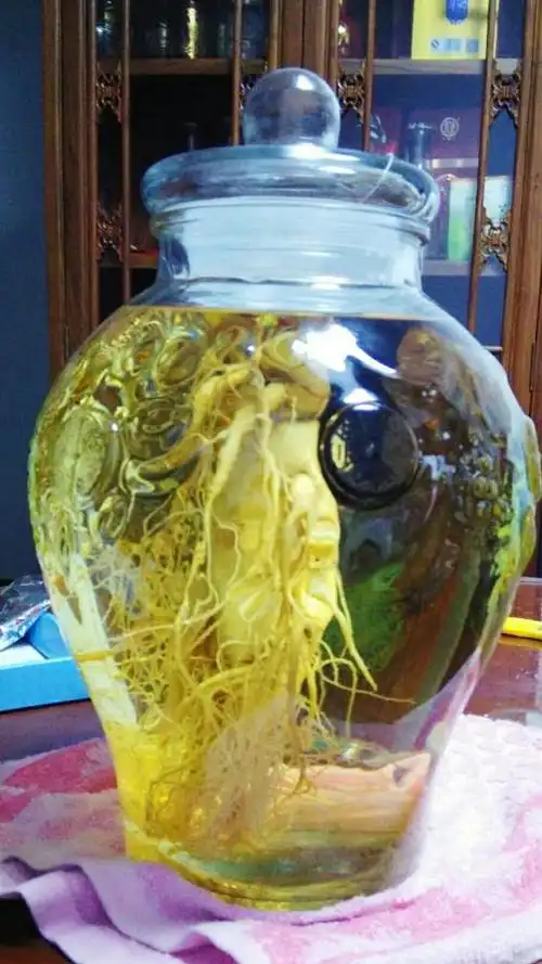 人参为什么最好鲜着吃