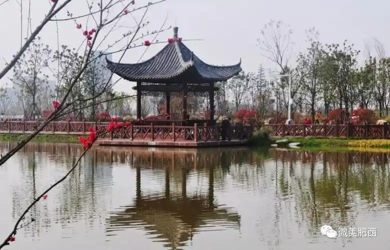 生态肥西异彩纷呈走进画里一起醉在官亭林海