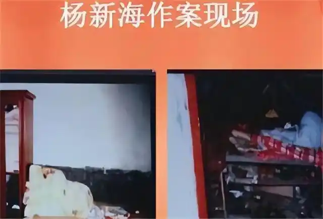 2003年采花大盗杨新海:23名妙龄少女惨遭毒手,最小的仅13岁纪实