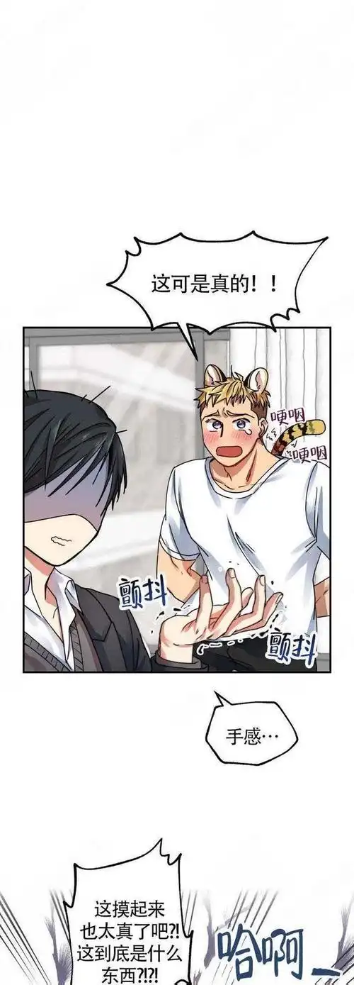 漫画却没想到虎楠其实是只即将成为人类的半人半虎