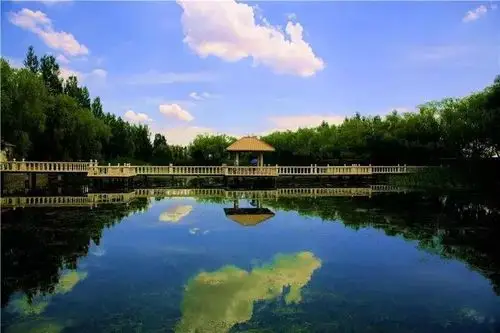 绿色生命的奇迹——恩格贝|恩格贝|沙漠|沙漠绿洲_新浪网