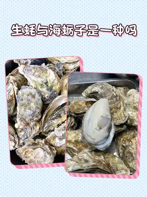 🦪品种与分类 生蚝和海蛎子虽然同属牡蛎科,但品种上有
