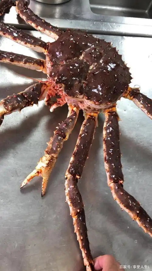帝王蟹怎么做好吃?