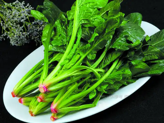 苏小北回转小火锅