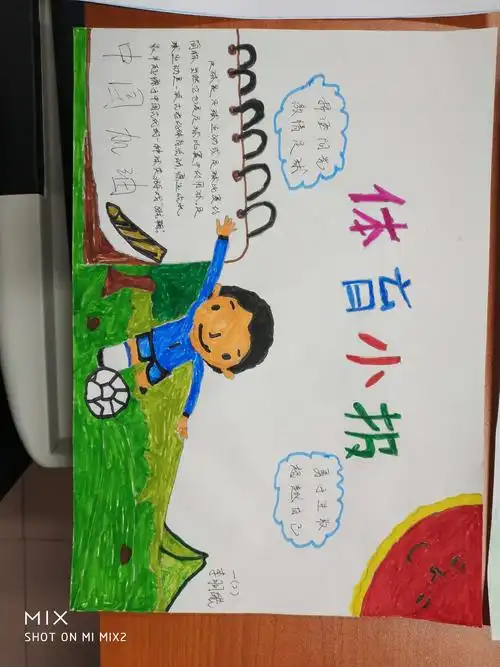 体育展示窗征集——优秀作品