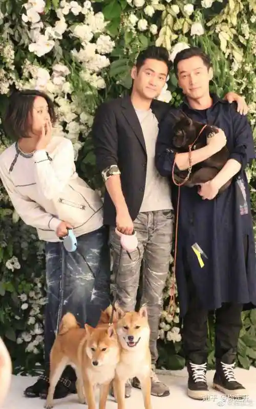 这5位明星能处!