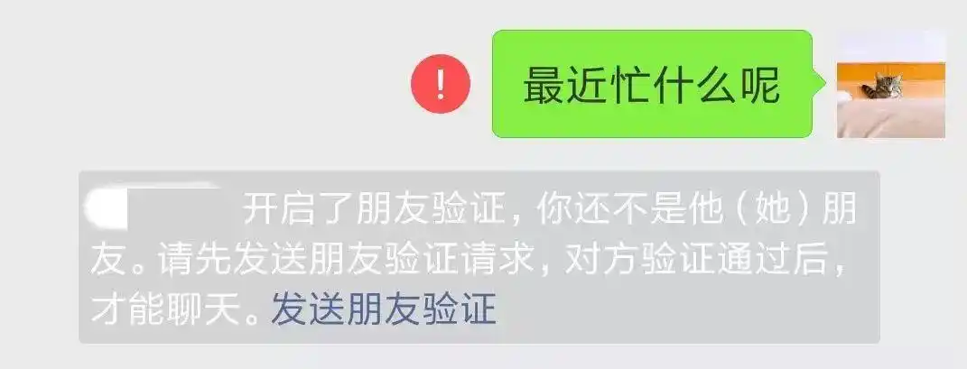 对方开启了朋友验证,你还不是他(她)的朋友.