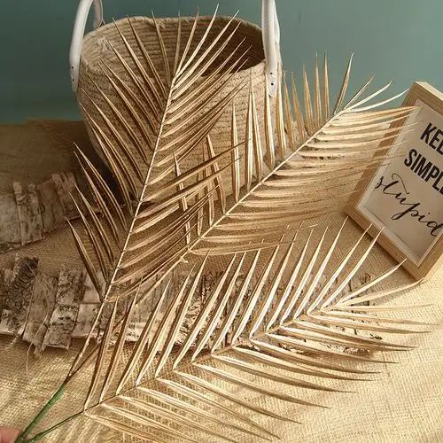 唯美三叉散尾葵叶棕榈树叶椰子树叶散尾叶针葵叶针叶婚庆仿真树叶