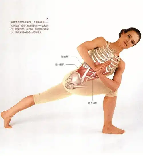 扭转体式1医学瑜伽学习