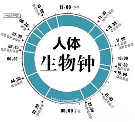 什么是生物钟