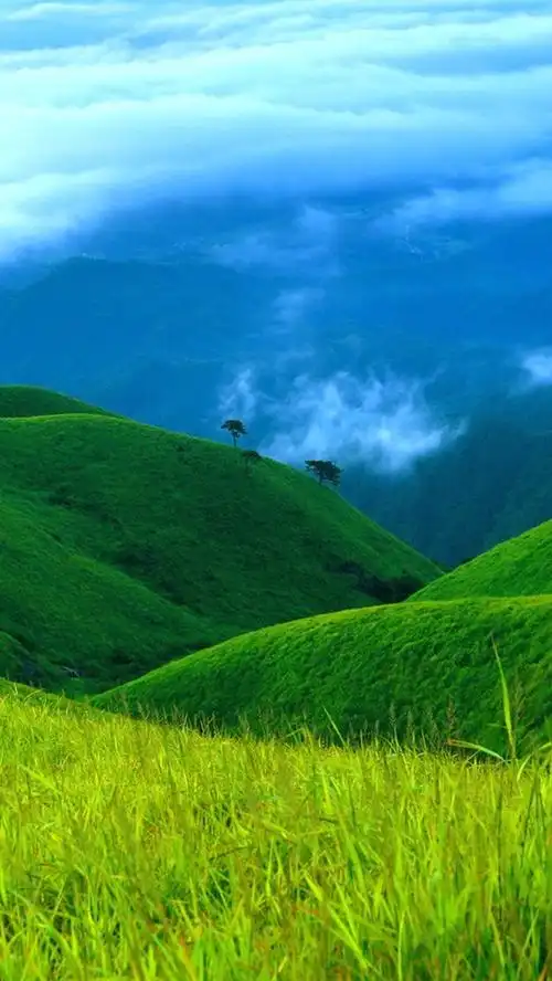 主要以大自然,绿色,高山,蓝天白云,风景为重点,全新打造出的一组蓝天