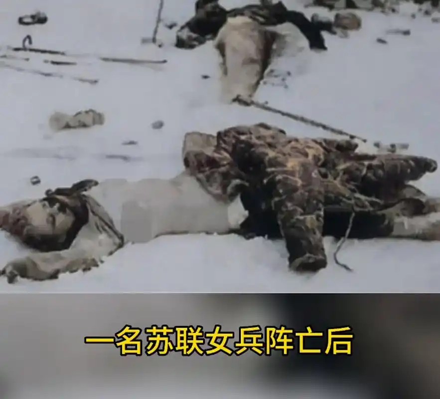 1942年,在斯大林格勒郊外,一名苏联女兵被敌人残忍地剥夺了衣服,赤裸