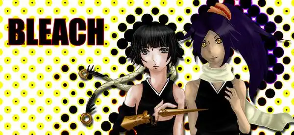 bleach同人--碎蜂&夜一