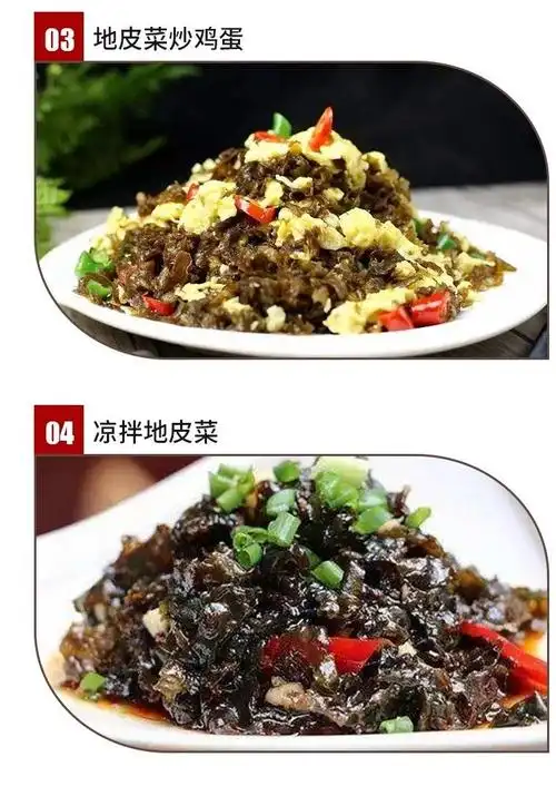 甘肃特产地皮菜地达菜块状新鲜地衣地软地木耳4块压缩装共80克