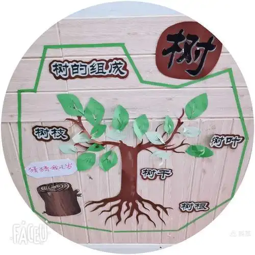 中班组"拜访大树"主题活动