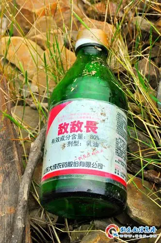 值得一提的是记者在此处还找到了有毒农药"敌敌畏"的玻璃瓶子,将其