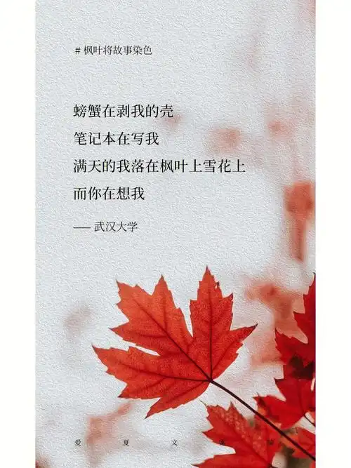 第二十封信枫叶将故事染色